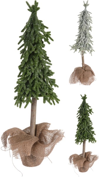 Weihnachtsbaum im Topf 55cm