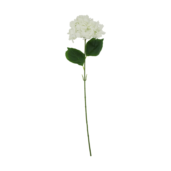 Weiße Hortensienblüte aus Kunststoff mit zwei Blättern- H= 77 cm
